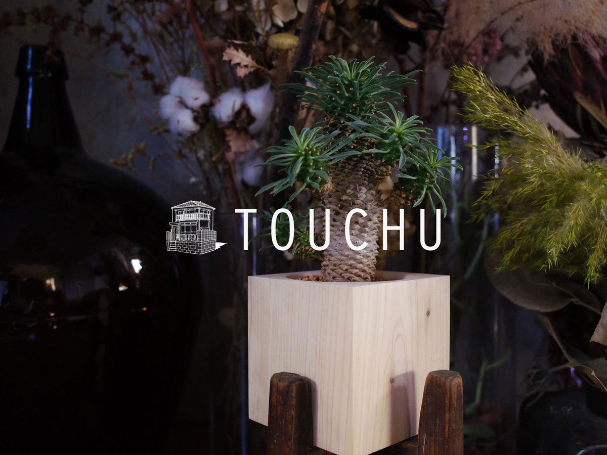 touchu かもめ すずめ セット ITEM｜TOUCHU(トウチュウ)公式通販